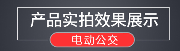 湖北電動巡邏車